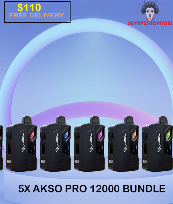 5X AKSO PRO 12000 akso pro 12000 puff