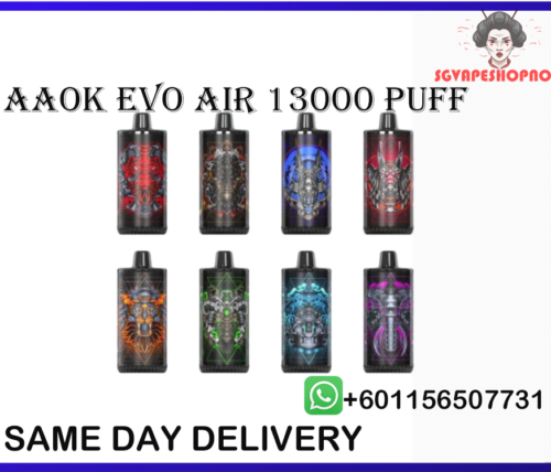 AAOK EVO AIR 13000