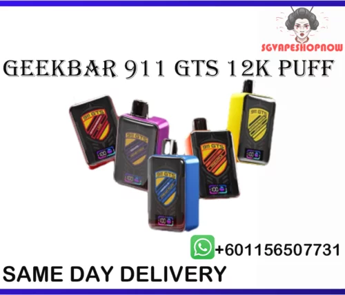GEEKBAR 12000 PUFF